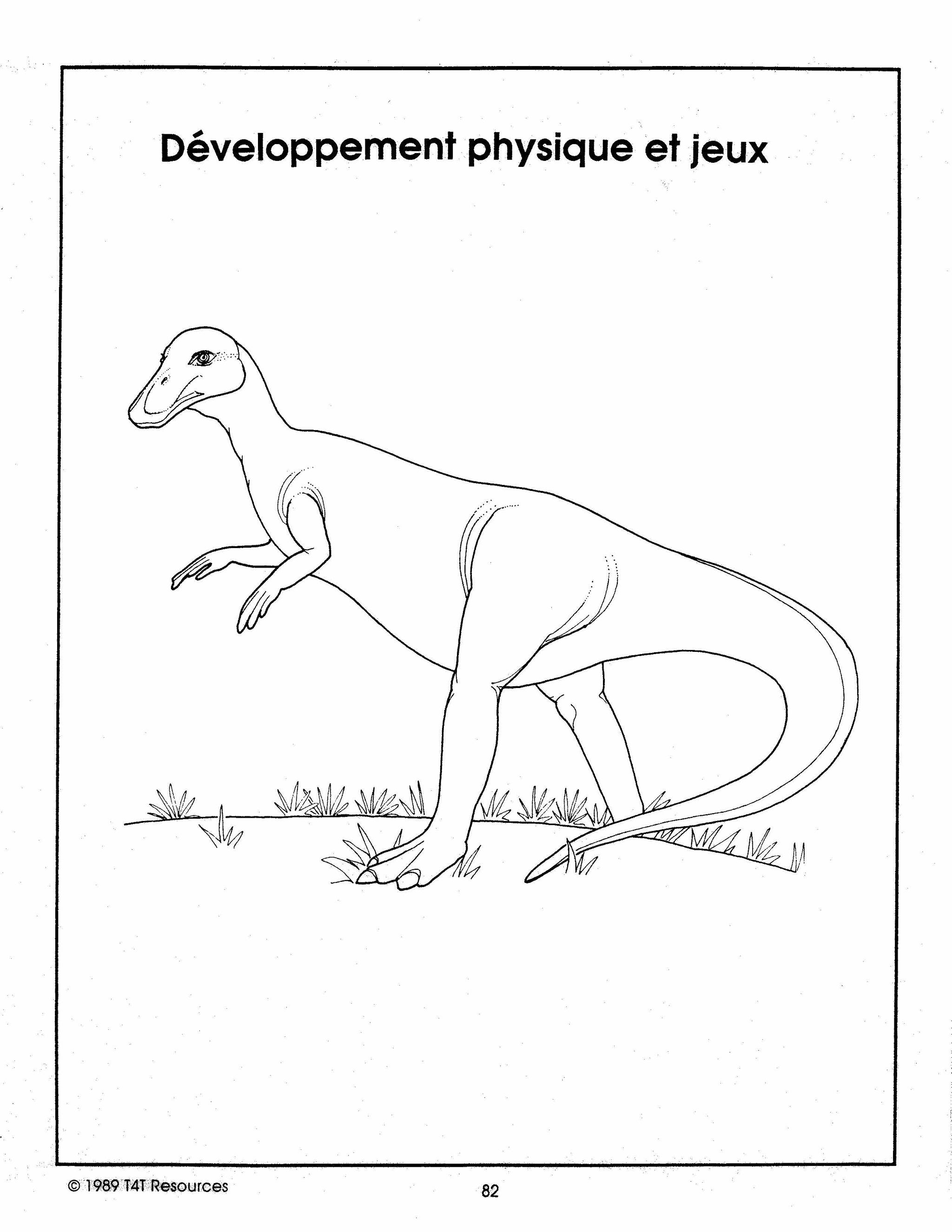 Les Dinosaures Unité thématique Premiere Année