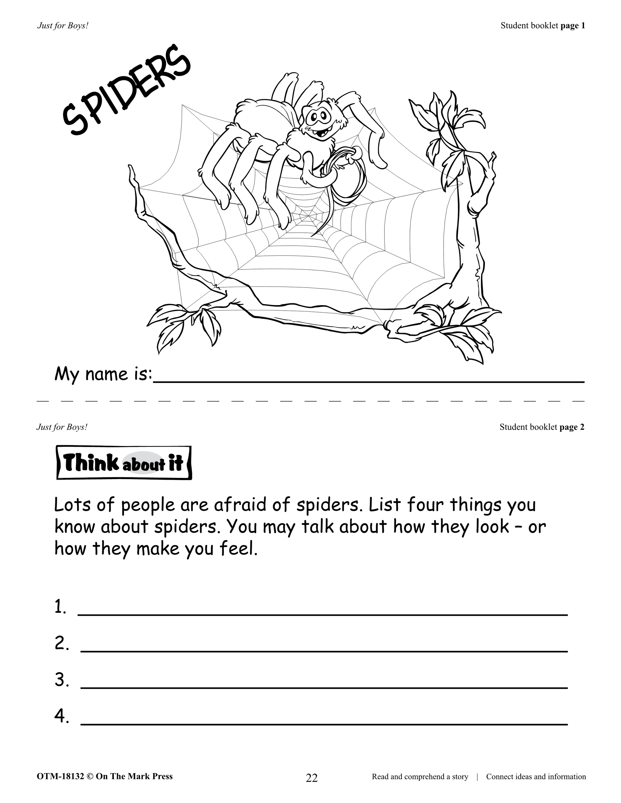 Just for Boys Fiction & Nonfiction Grades 1-3 Reading Comprehension Aligned to Common Core