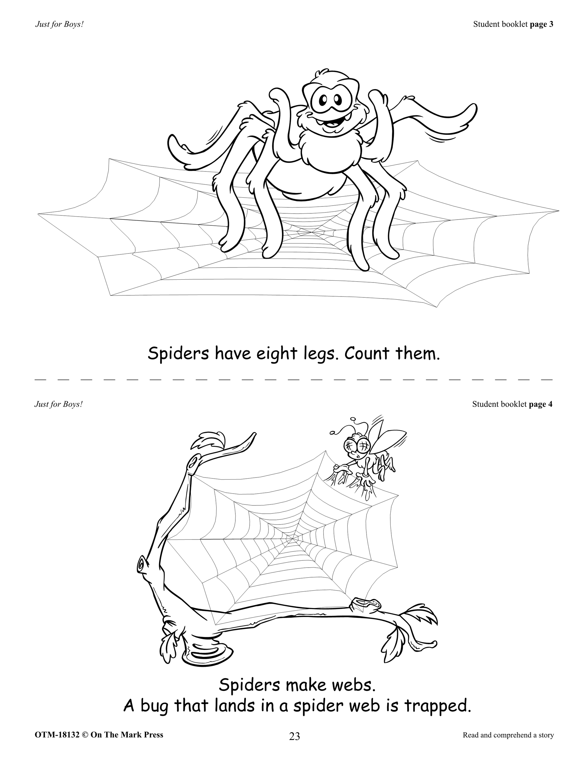 Just for Boys Fiction & Nonfiction Grades 1-3 Reading Comprehension Aligned to Common Core