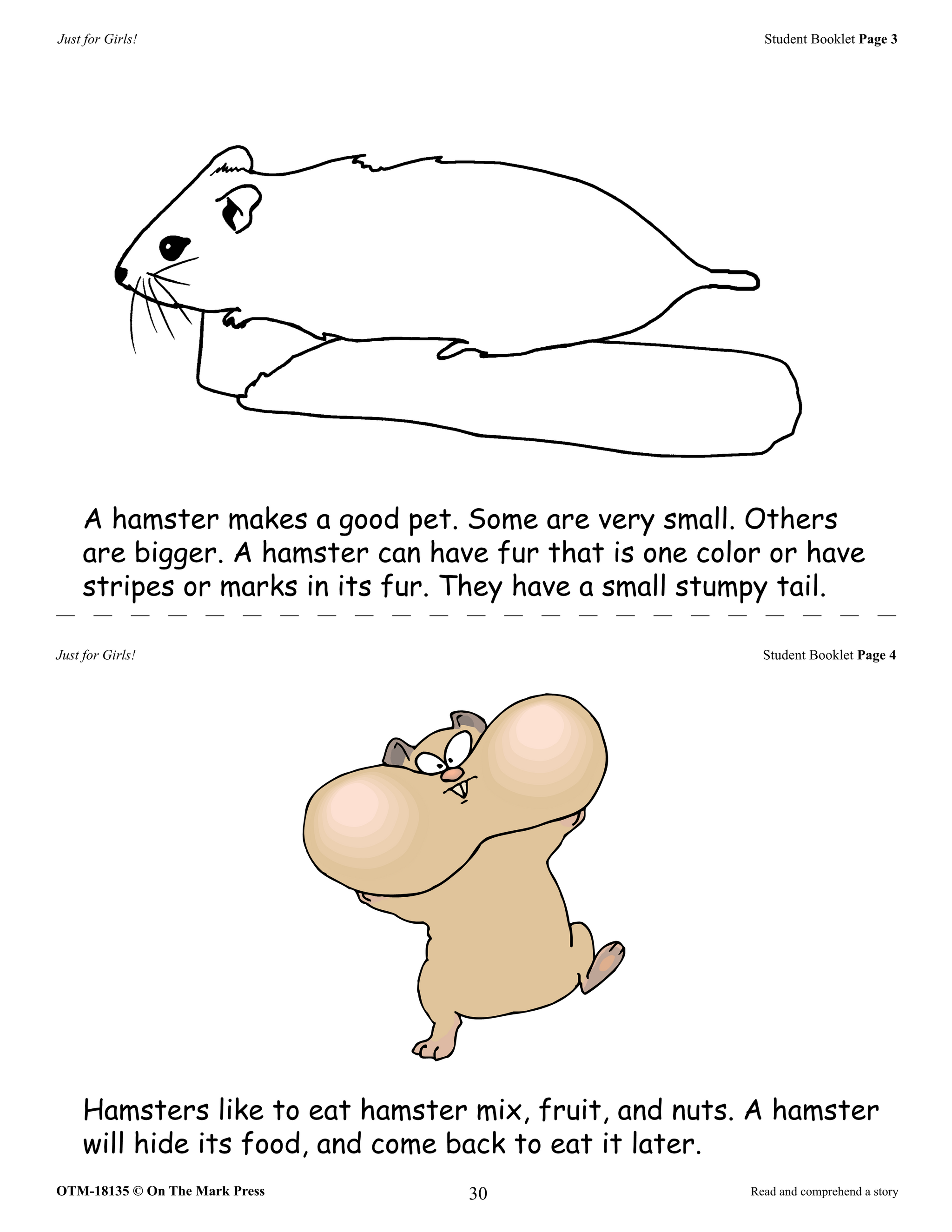 Just for Girls Grades 1-3 Reading Comprehension: Aligned to Common Core