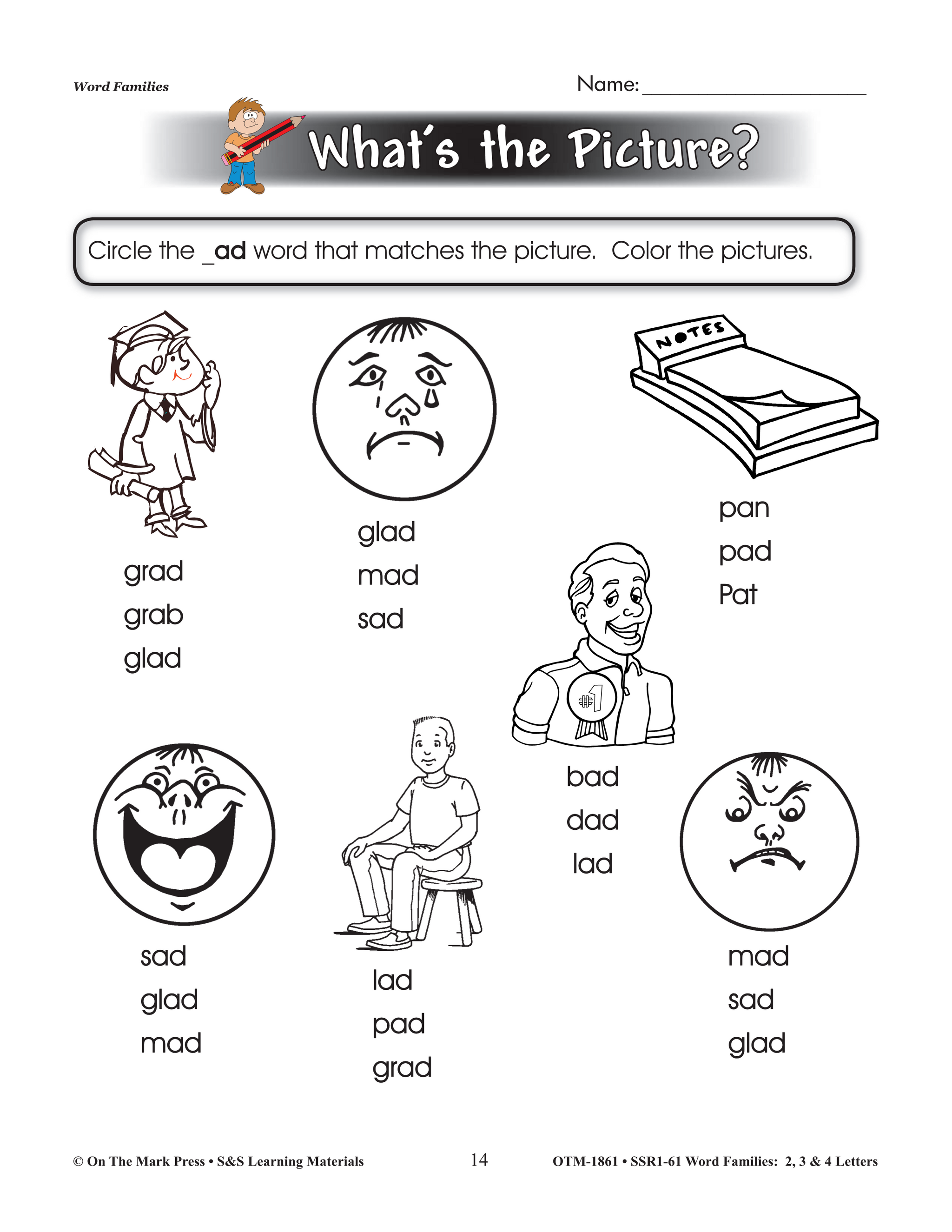 Word Families 2, 3 & 4 Letters Big Book Grades 1-3