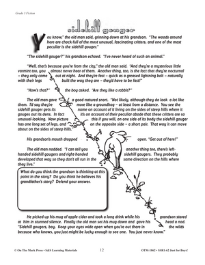 Just for Boys Grades 3-6 Fiction & Nonfiction Reading Comprehension