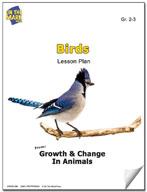 Birds Lesson Grades 2-3