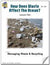 How Does Waste Affect the Ocean? Lesson Grades 5-8