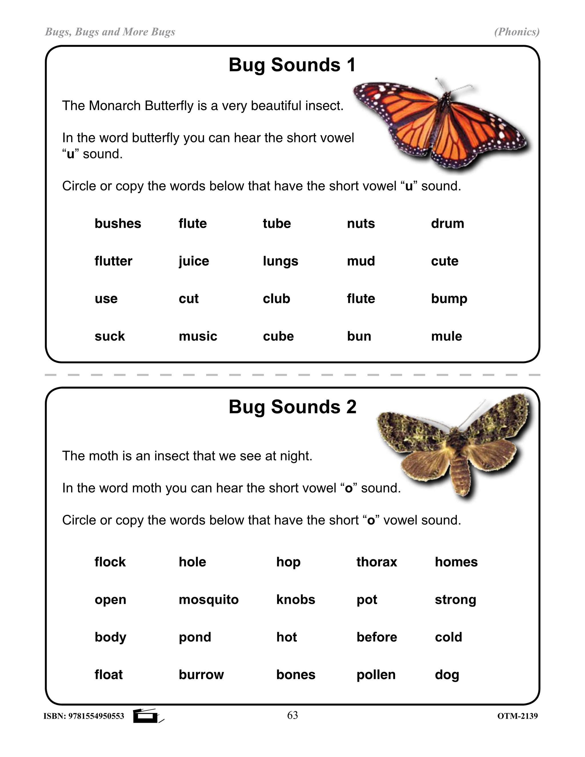 Insects Phonics Worksheets Grades 2-3