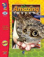 Amazing Insects Reading Worksheets and Cross - Curricular Activities Grades 4-6