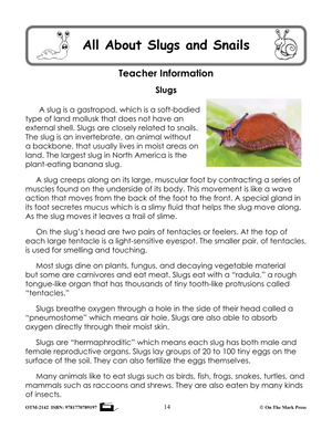 Slugs & Snails Grades 1-3