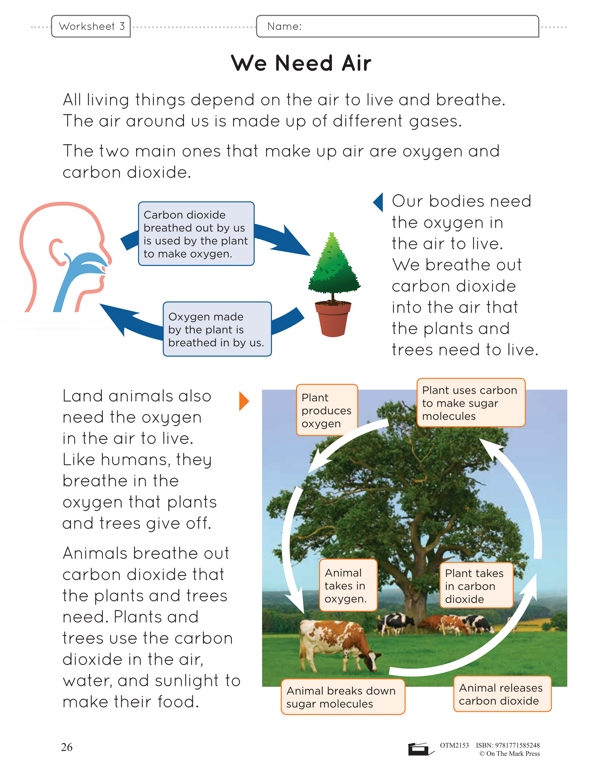 Air, Water & Soil in the Environment - Earth Science Grade 2