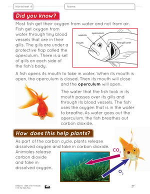 Air, Water & Soil in the Environment - Earth Science Grade 2