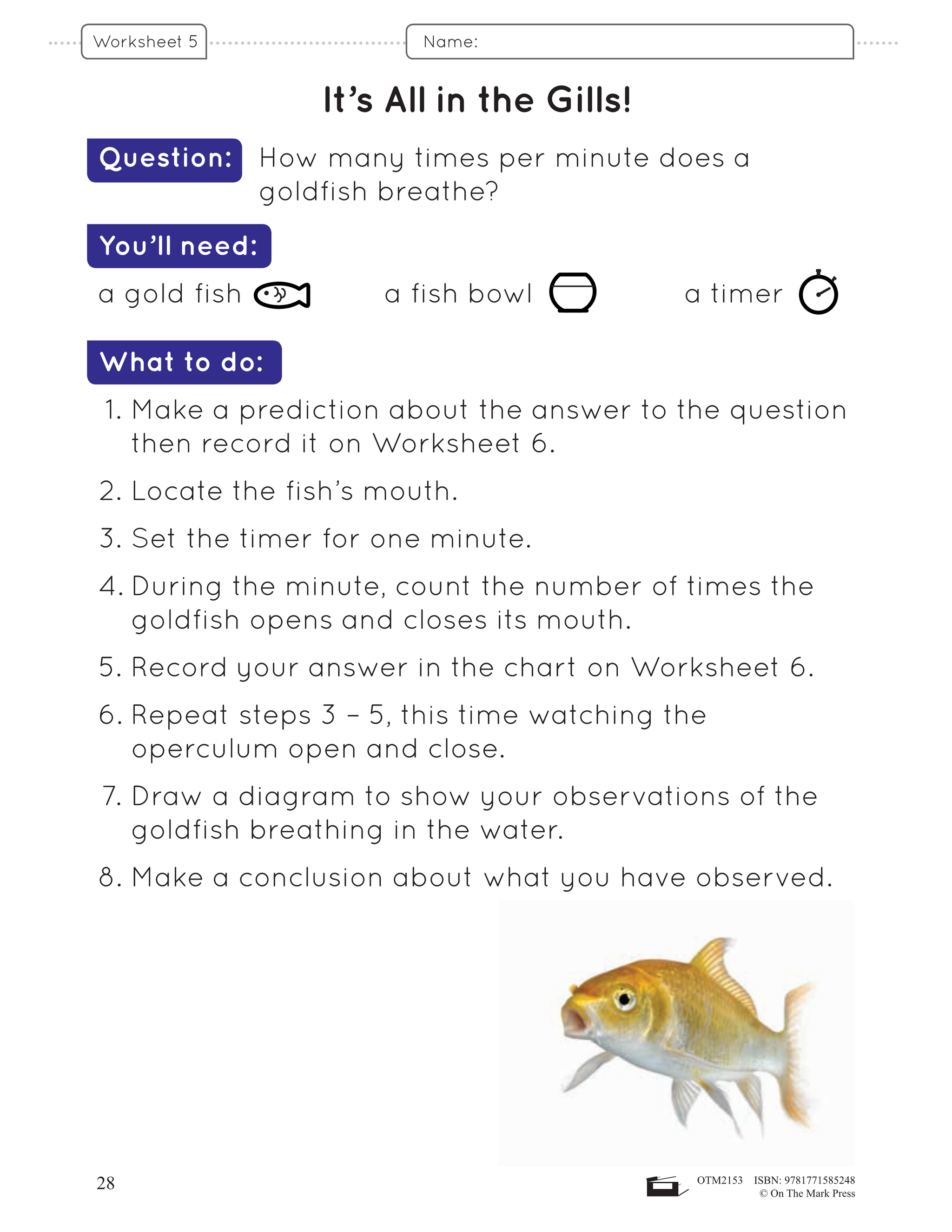 Air, Water & Soil in the Environment - Earth Science Grade 2