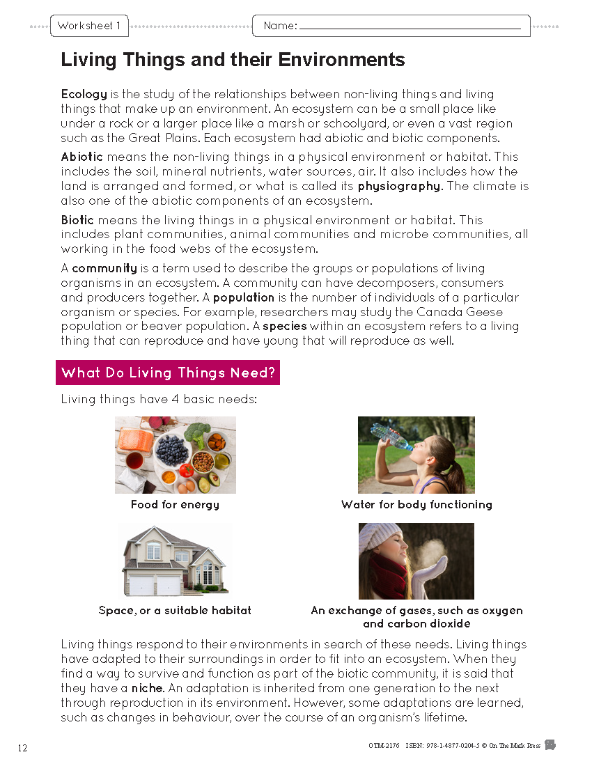 Alberta Grade 7 Science Curriculum - An Entire Year of Lessons!