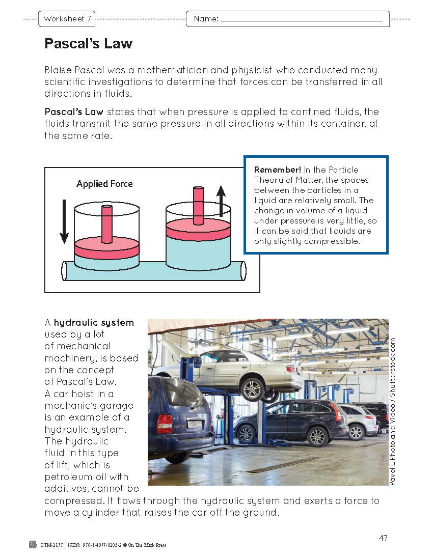 Alberta Grade 8 Science Curriculum - An Entire Year of Lessons!