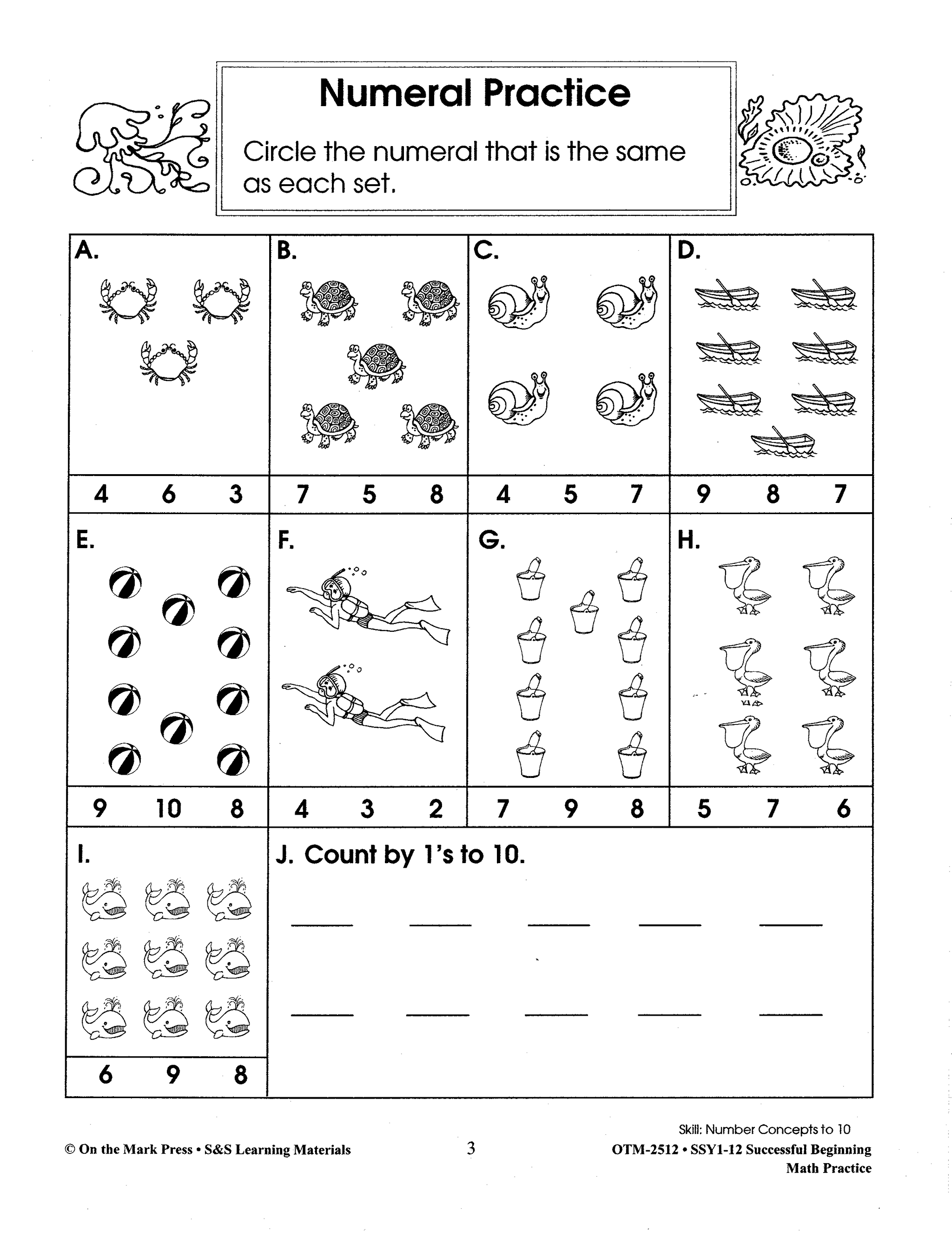 Successful Beginning Math Practice Big Book Gr. 1-3 - Build Their Skills Bundle!