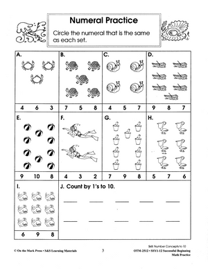 Successful Beginning Math Practice Big Book Gr. 1-3 - Build Their Skills Bundle!