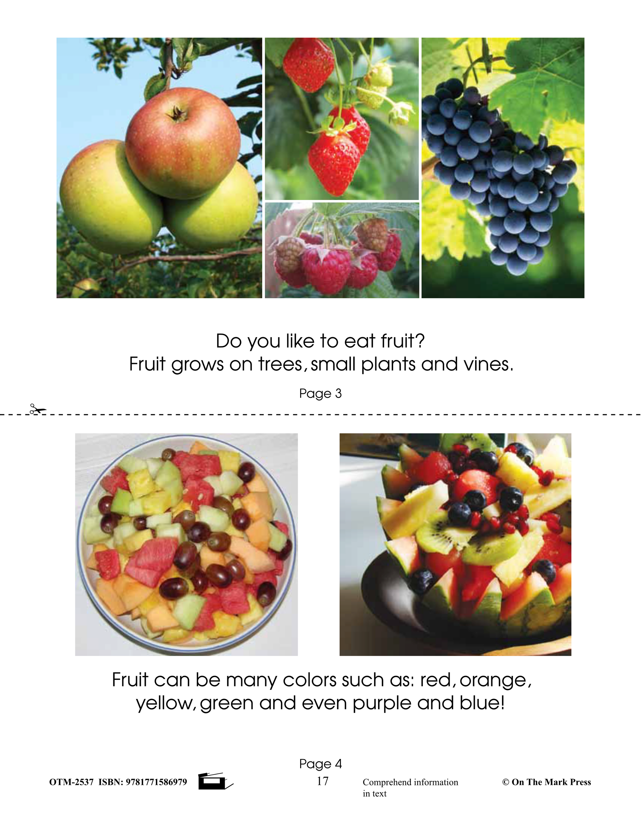 Solo Los Hechos! Just the Facts! Grades 1-3 Non Fiction Reading Comprehension in Spanish and English