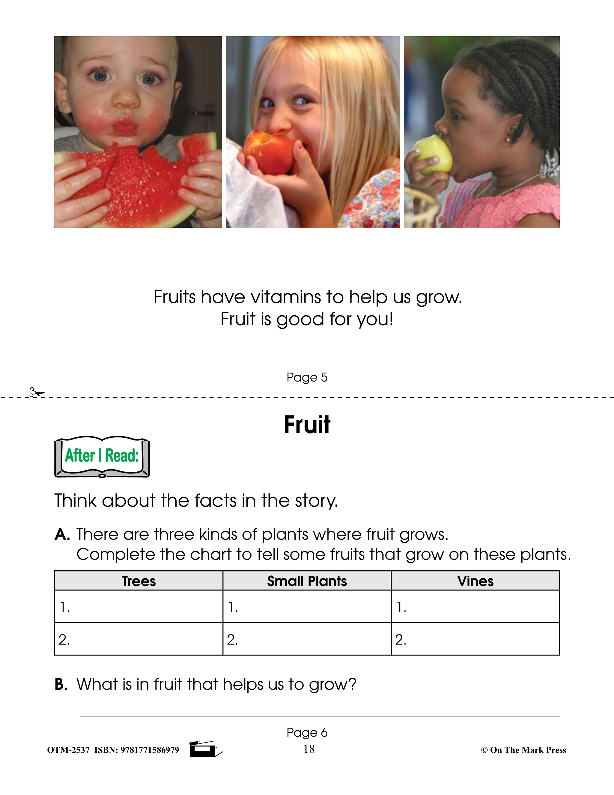 Solo Los Hechos! Just the Facts! Grades 1-3 Non Fiction Reading Comprehension in Spanish and English