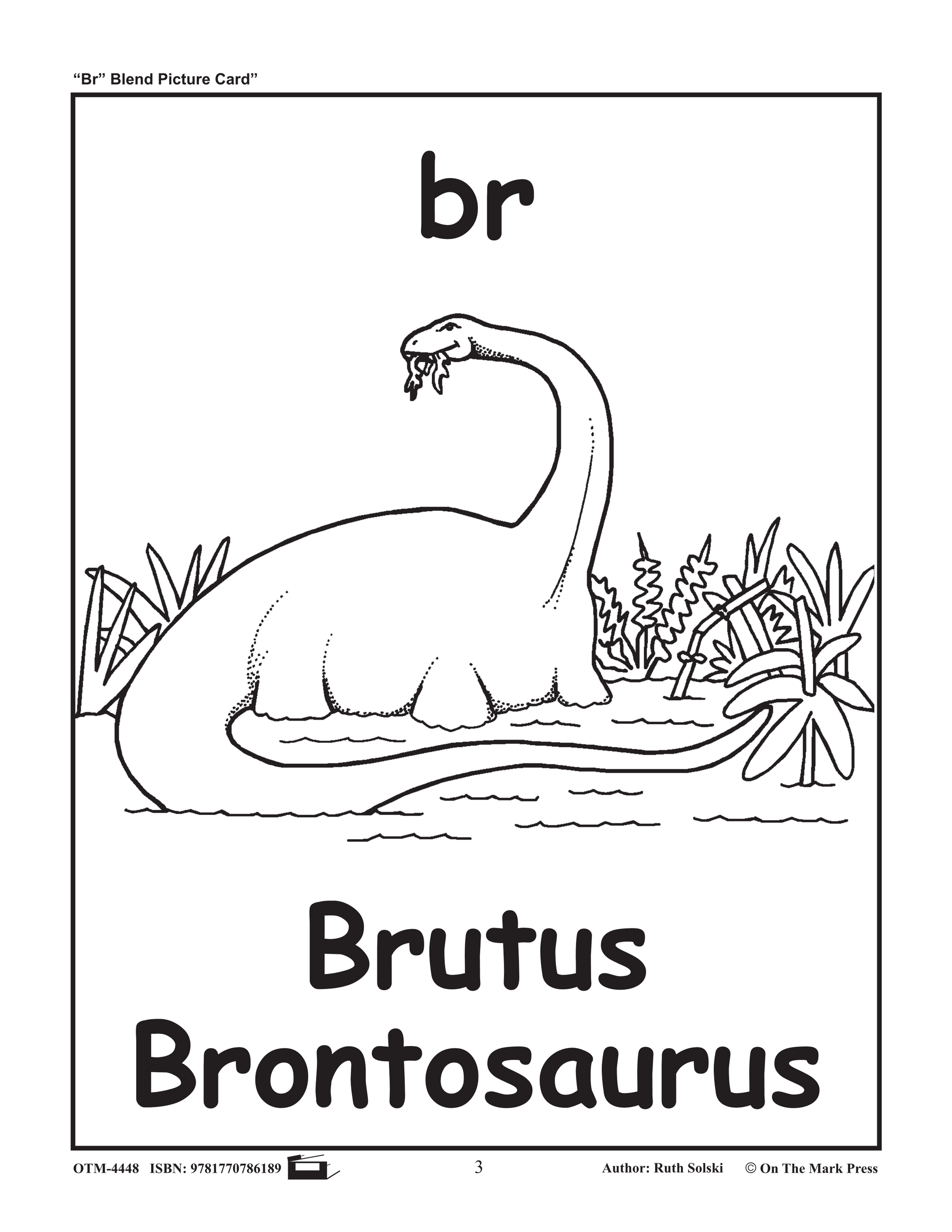 br Initial Consonant Blend Lesson Plan Kindergarten - Grade 1