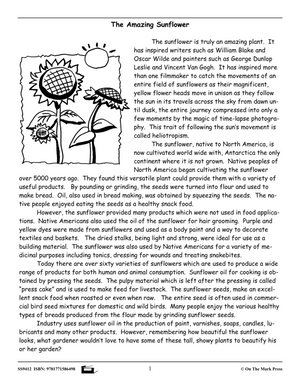 Reading Comprehension Exercises Grade 6 for the Ontario Standardized Test!