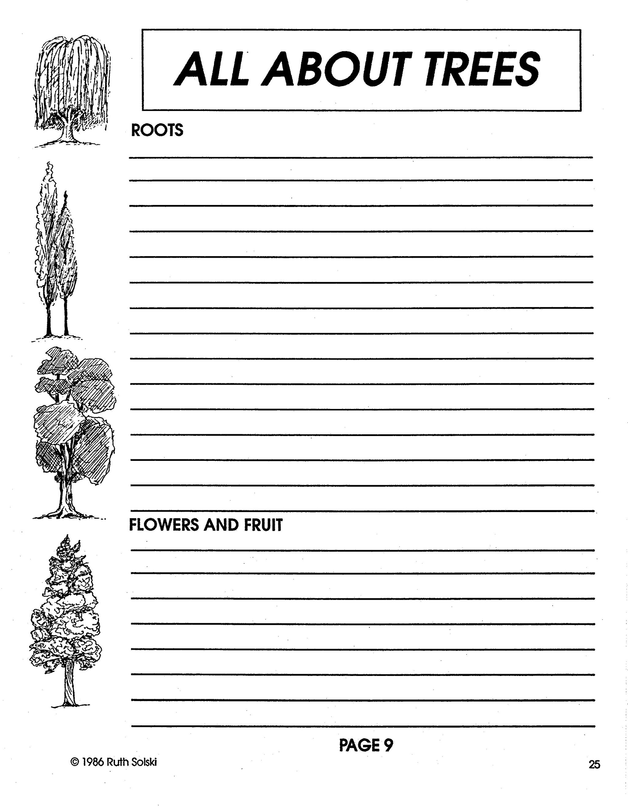 All About Trees Grades 4-6