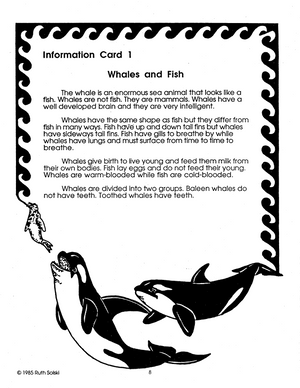 All About Whales Grades 3-4