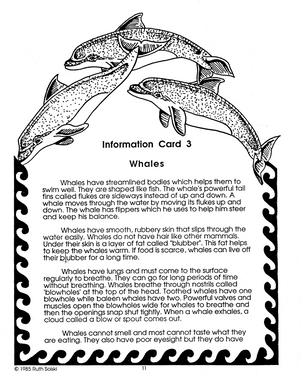 All About Whales Grades 3-4
