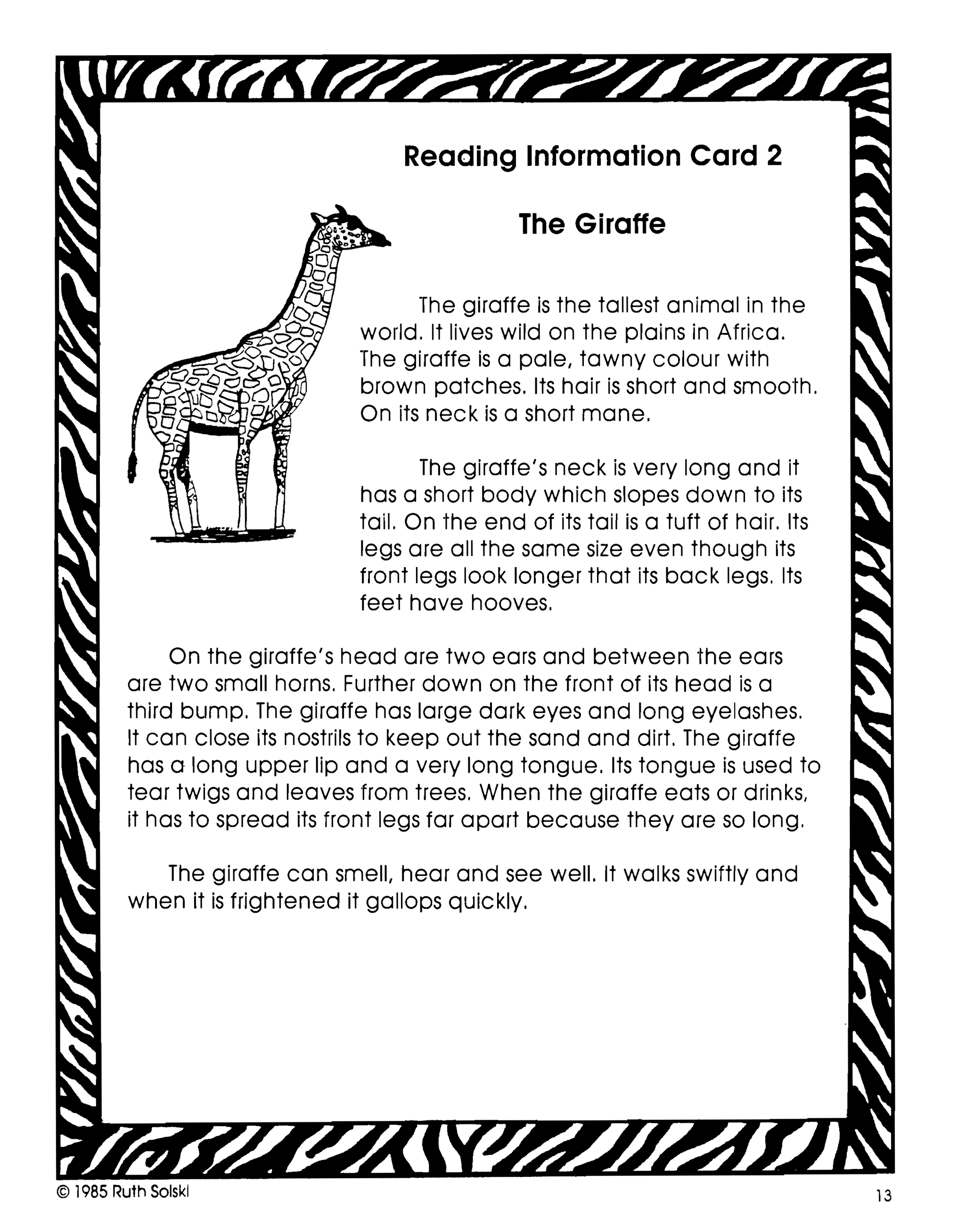 A Zoo Celebration Grades 3-4