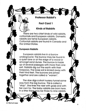 All About Rabbits Grades 3-4