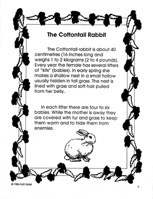 All About Rabbits Grades 3-4