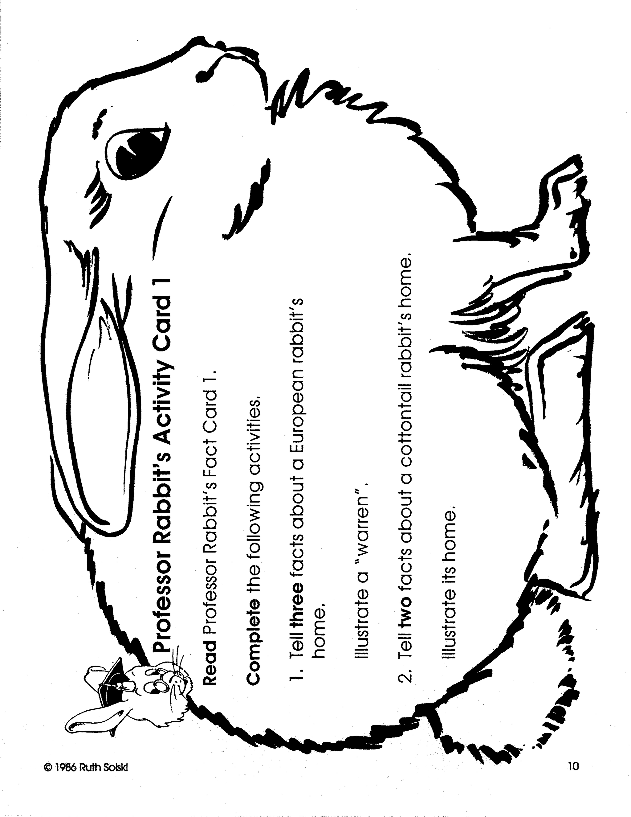 All About Rabbits Grades 3-4