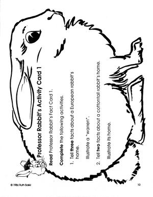 All About Rabbits Grades 3-4