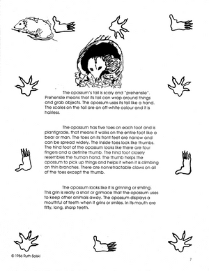 Opossums Grades 3-5