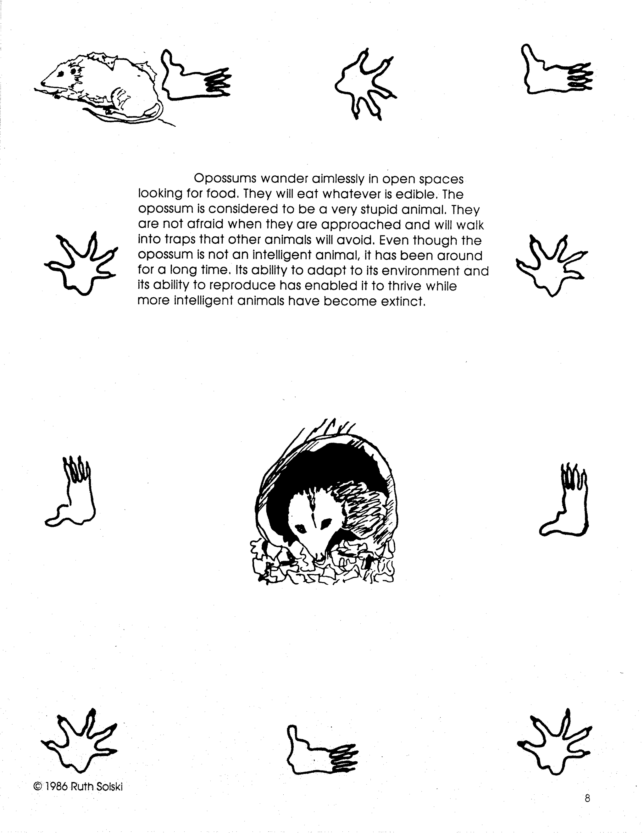 Opossums Grades 3-5