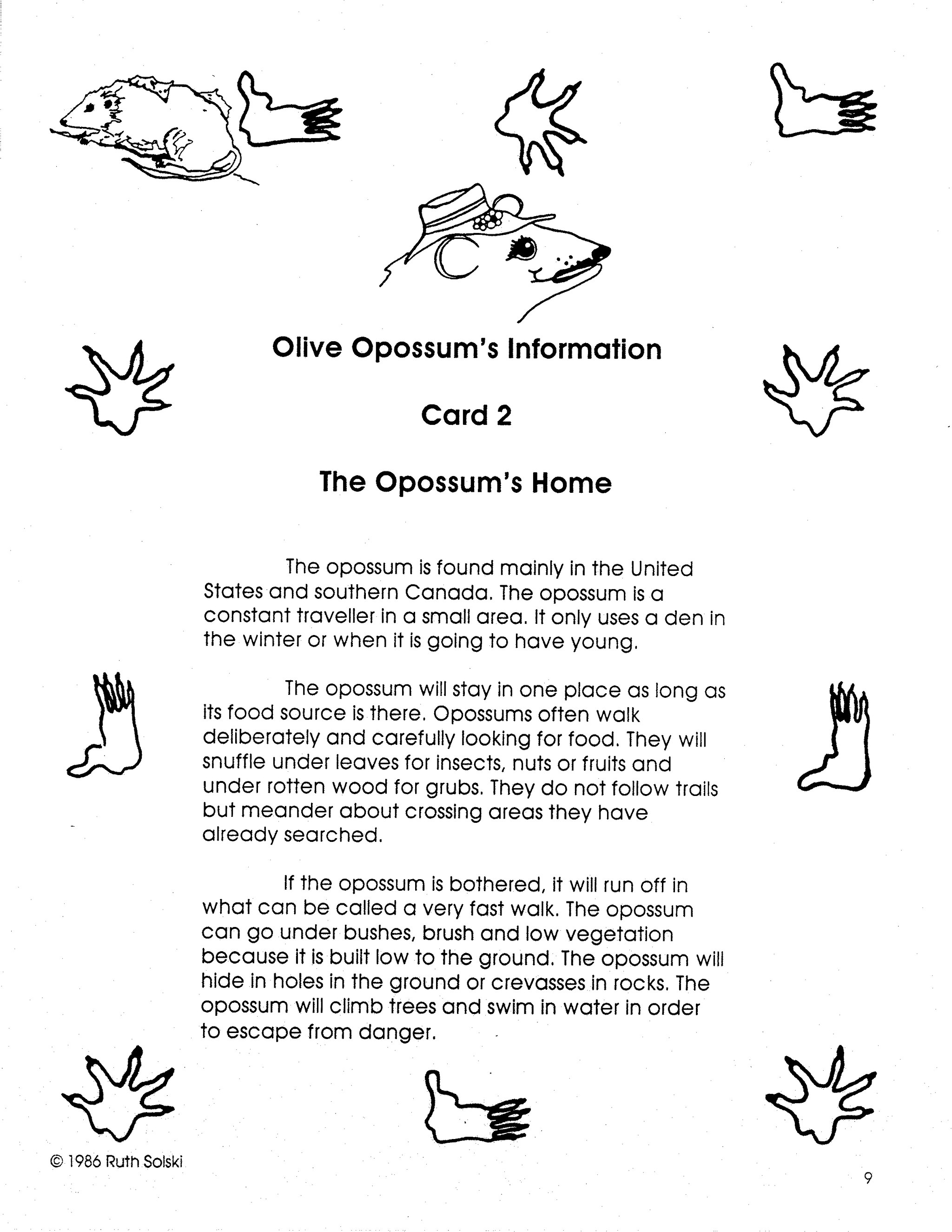 Opossums Grades 3-5