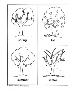 Apples are the Greatest Grades PreK-K