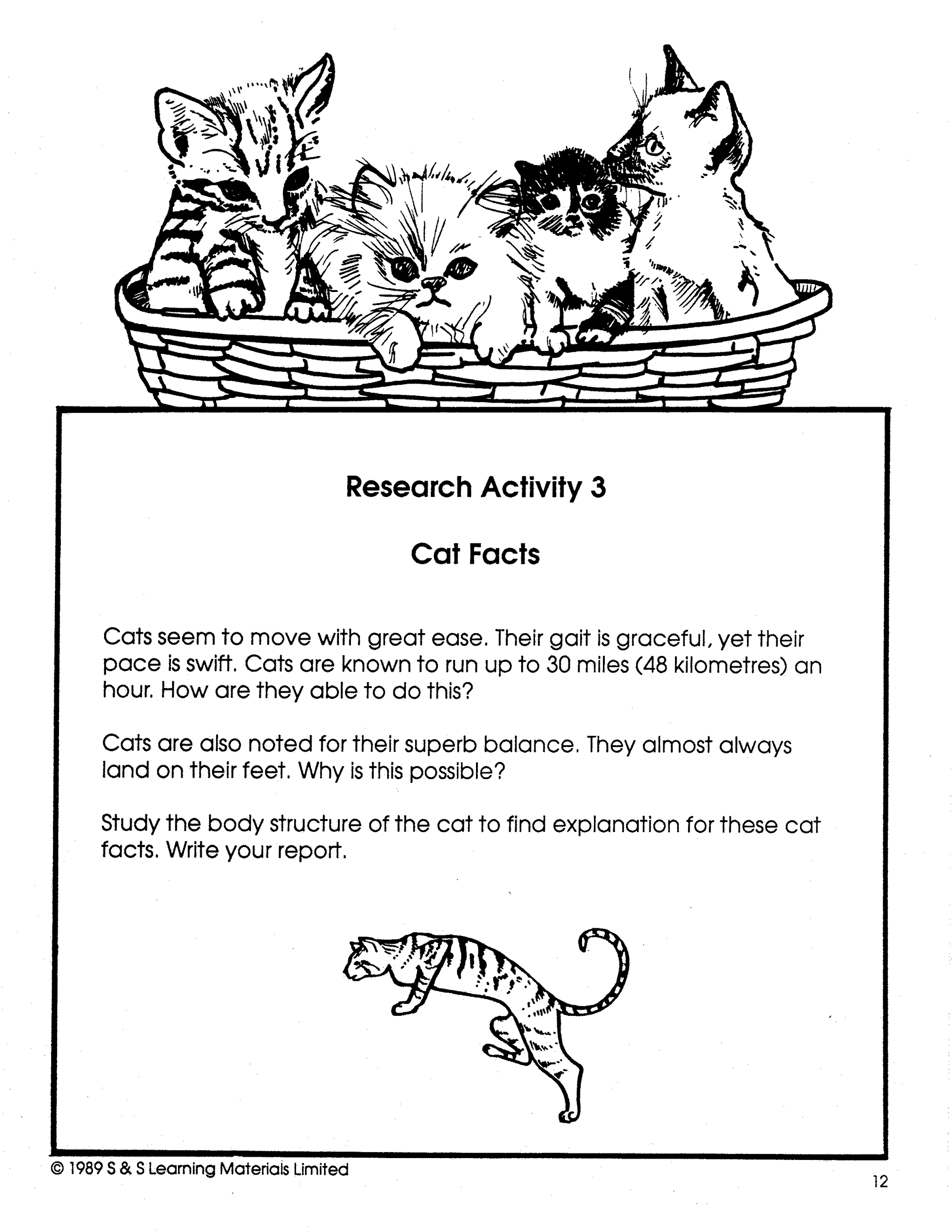 Cats - Domestic & Wild Grade 4-6