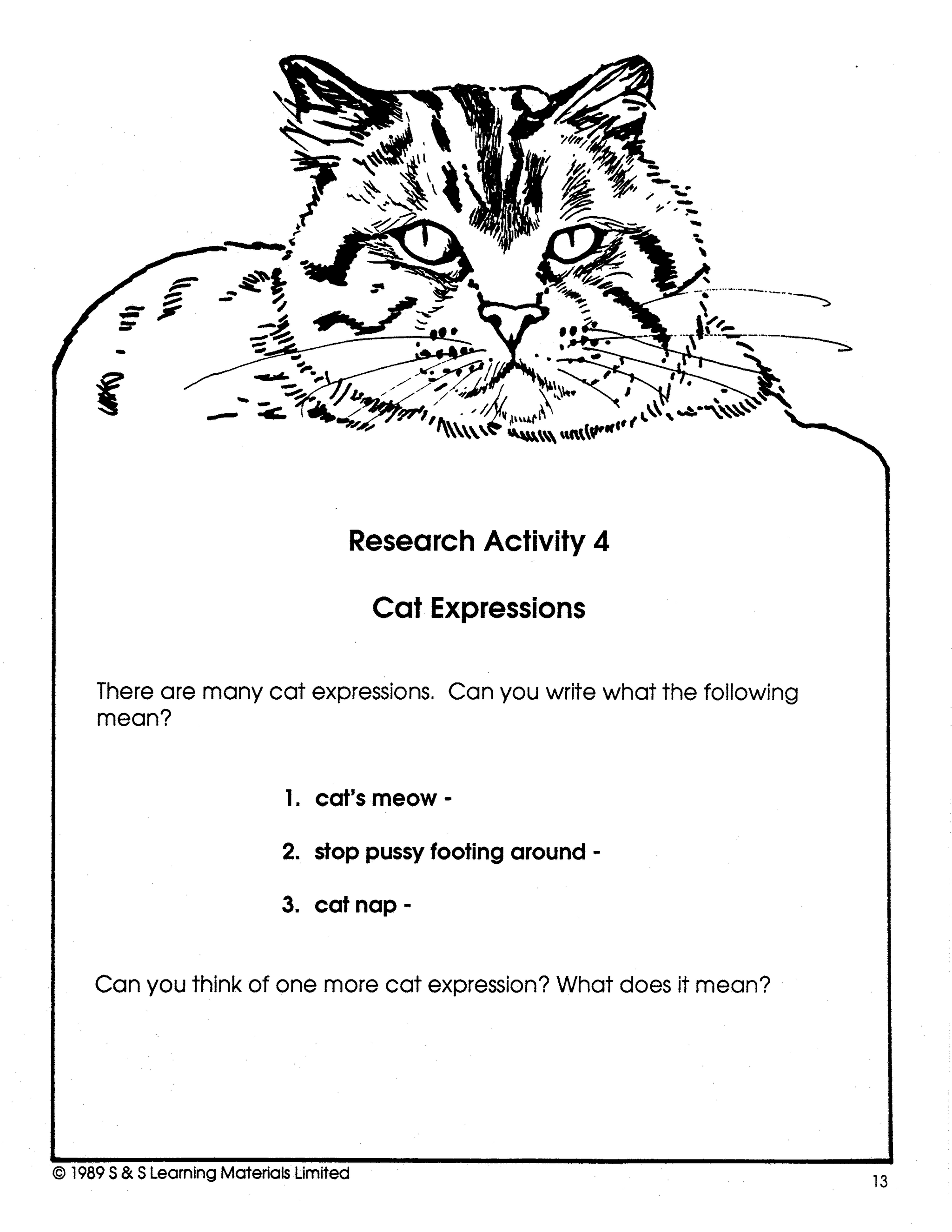 Cats - Domestic & Wild Grade 4-6
