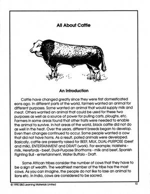 All About Cattle Grade 5-7