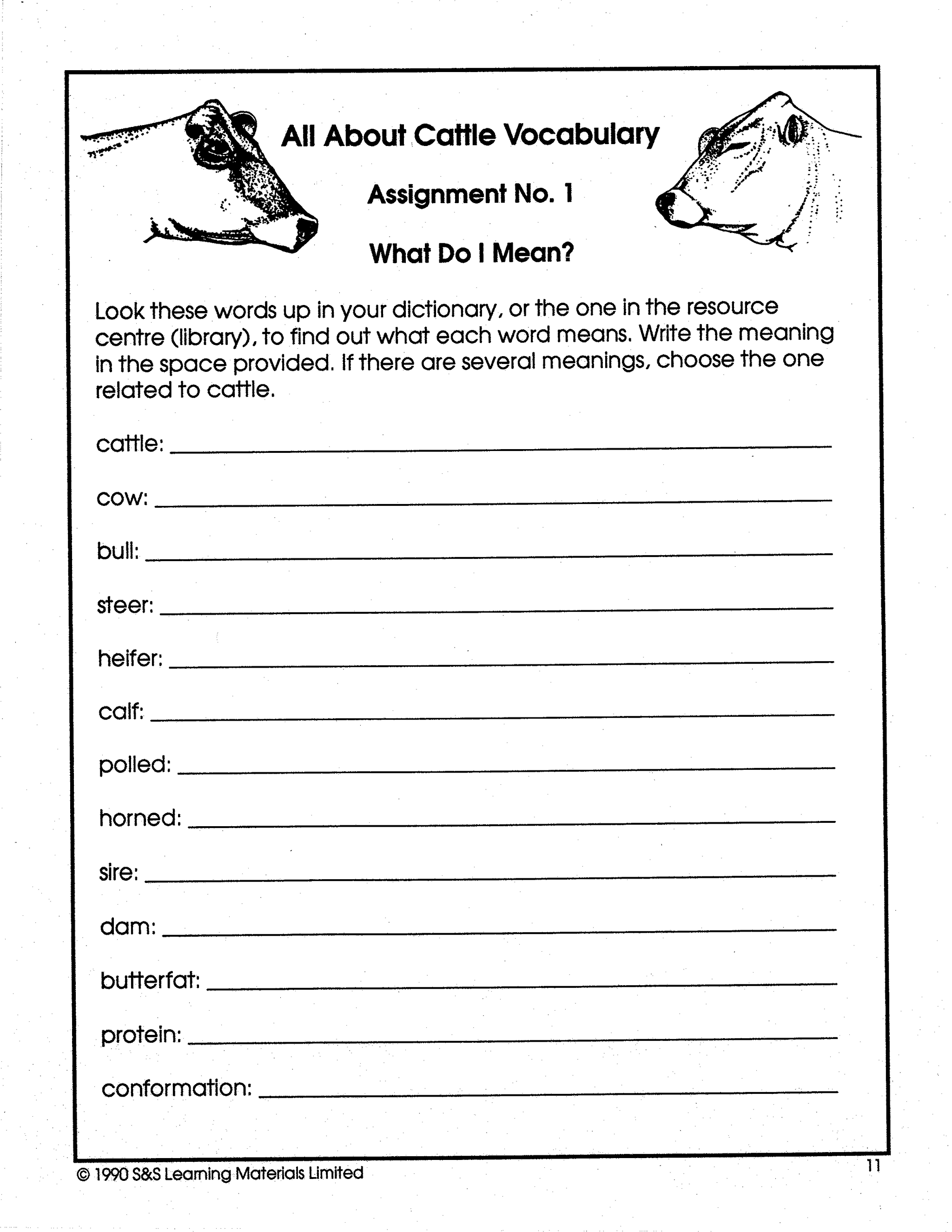 All About Cattle Grade 5-7