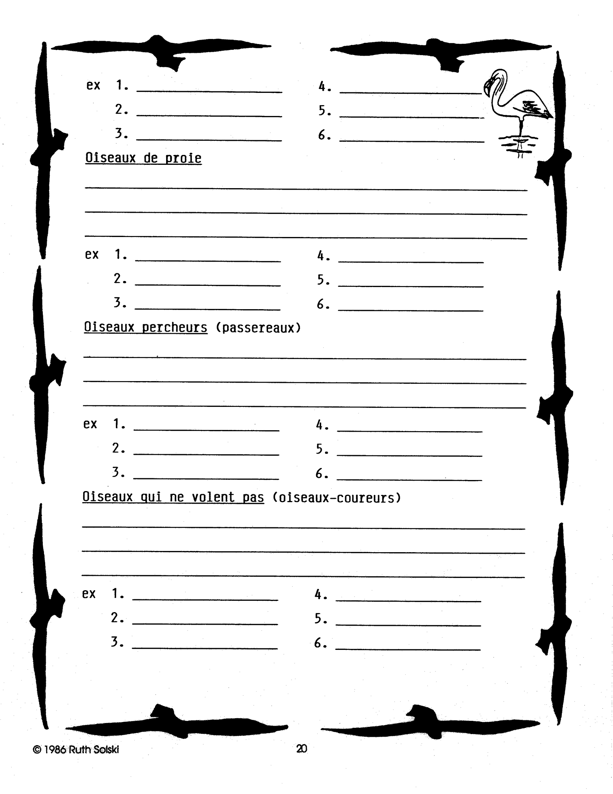 Nos Amis Ailes 4e à 6e année