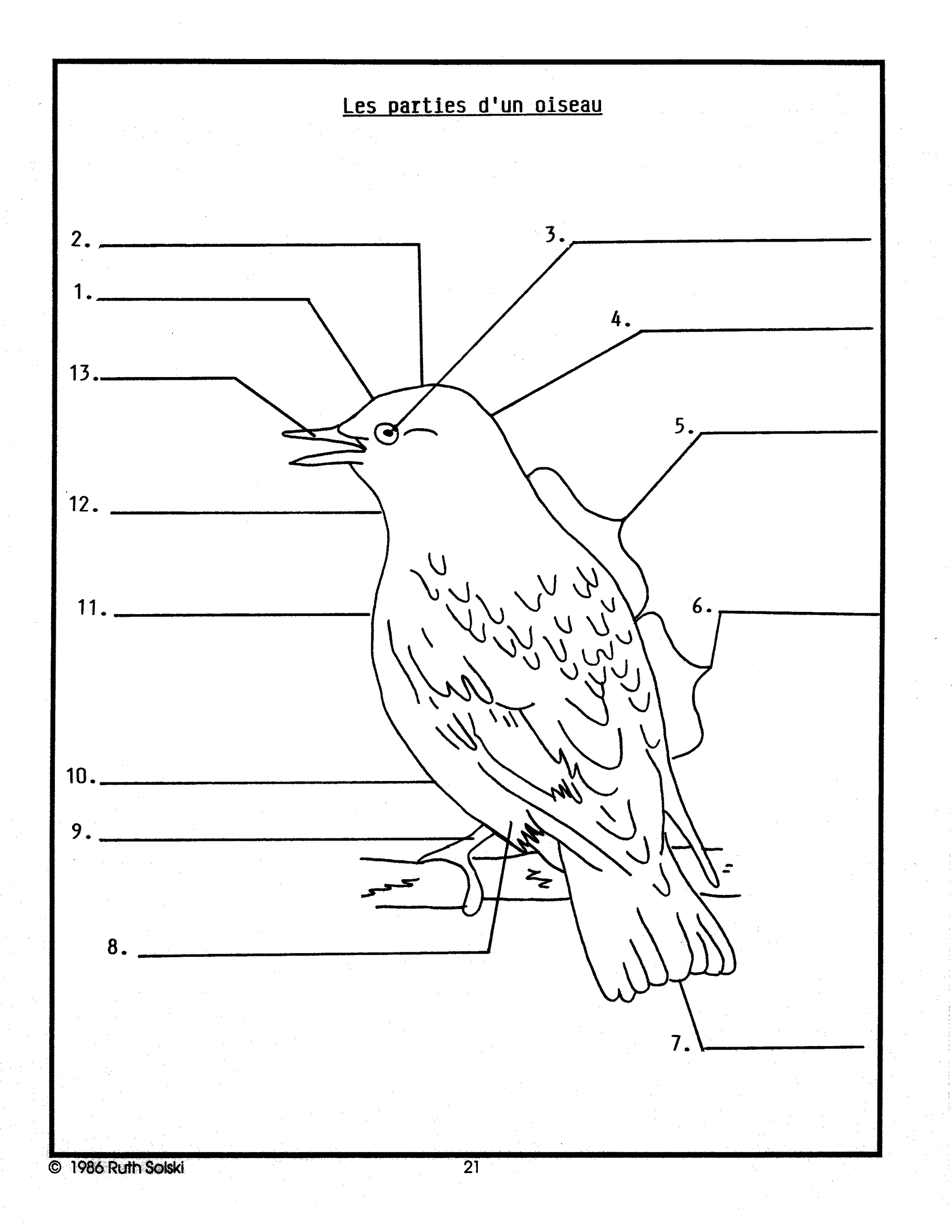 Nos Amis Ailes 4e à 6e année