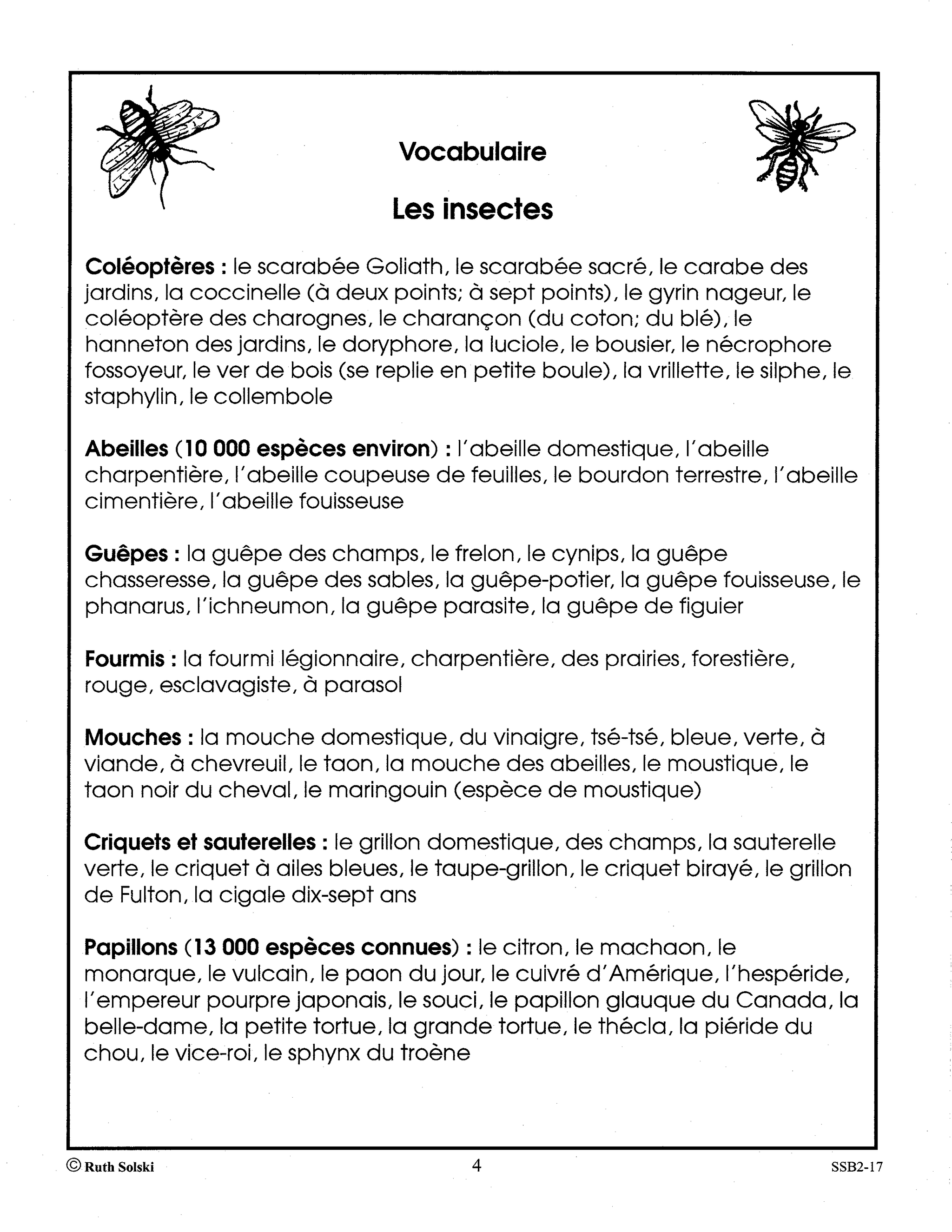 Le monde étonnant des insectes 4e à 6e année
