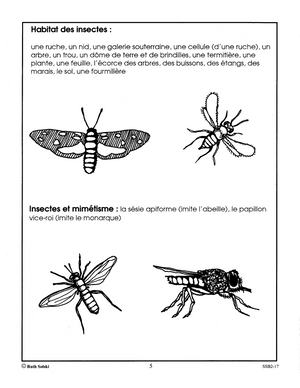 Le monde étonnant des insectes 4e à 6e année