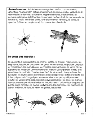 Le monde étonnant des insectes 4e à 6e année