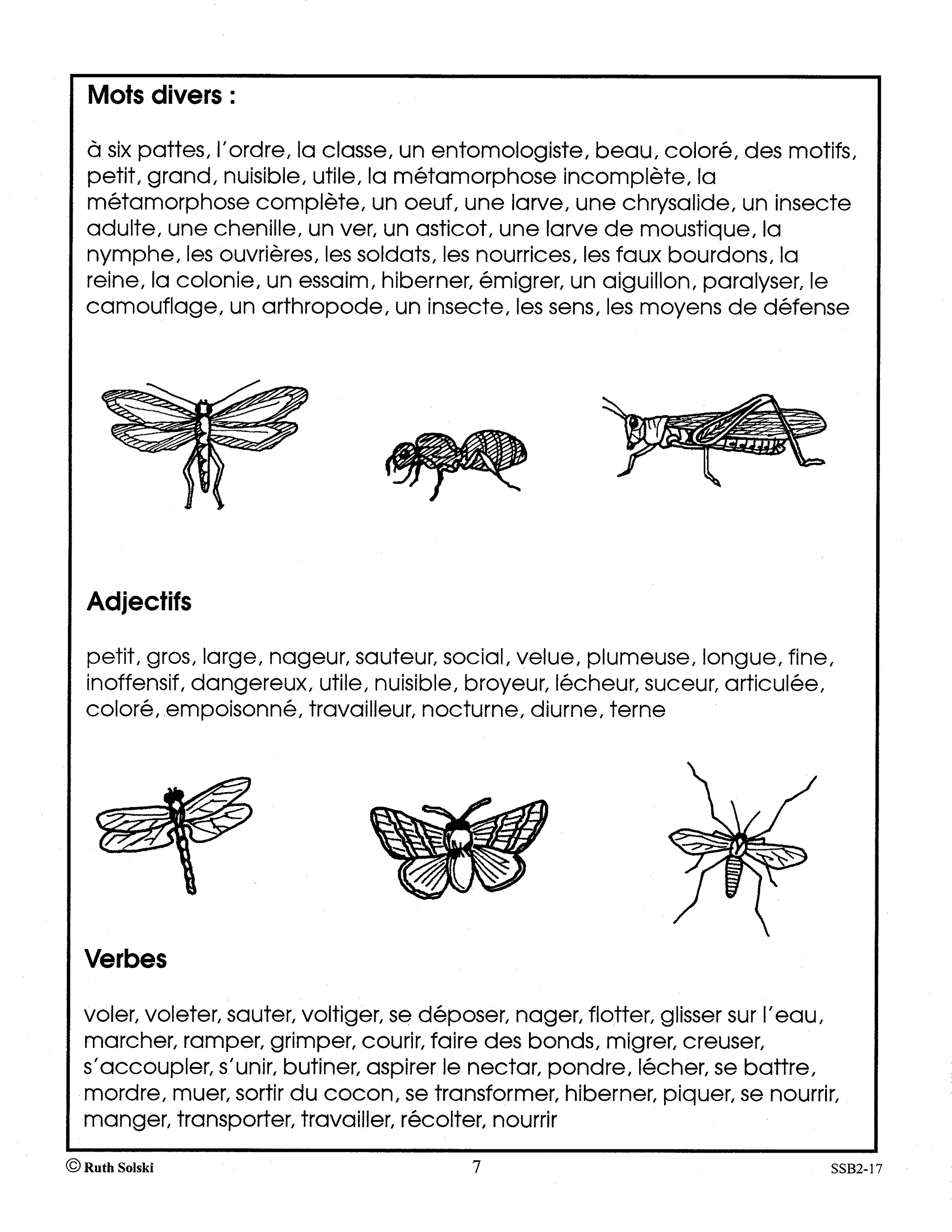 Le monde étonnant des insectes 4e à 6e année