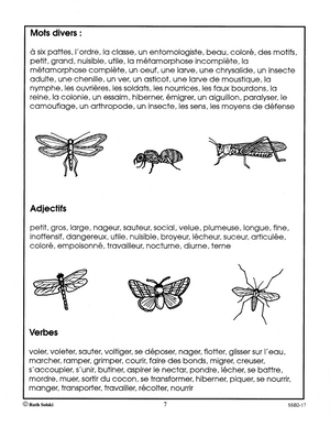 Le monde étonnant des insectes 4e à 6e année