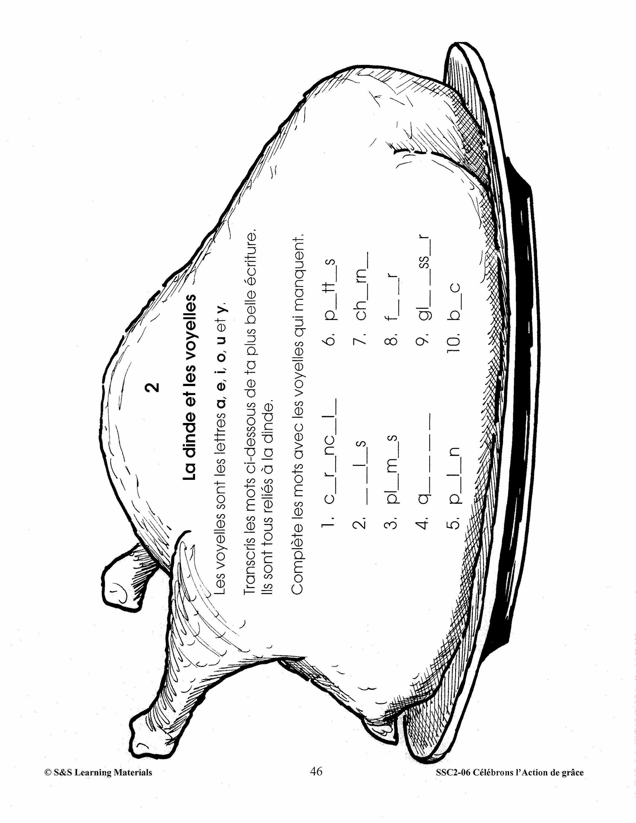 Célébrons l'action de grâce 3e à 4e année