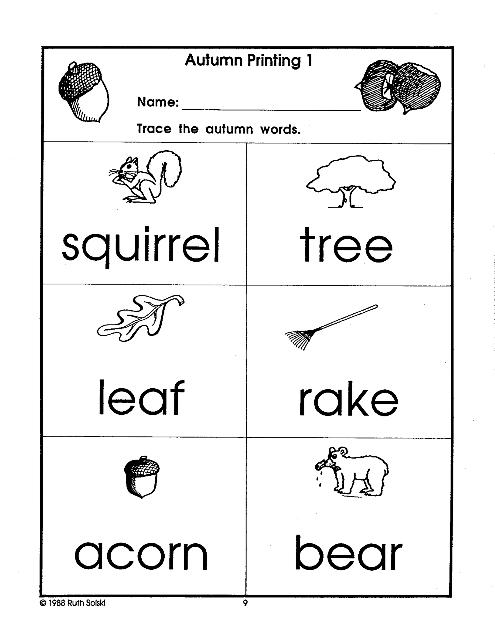 Autumn Wonders Grade 1