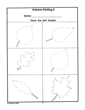 Autumn Wonders Grade 1