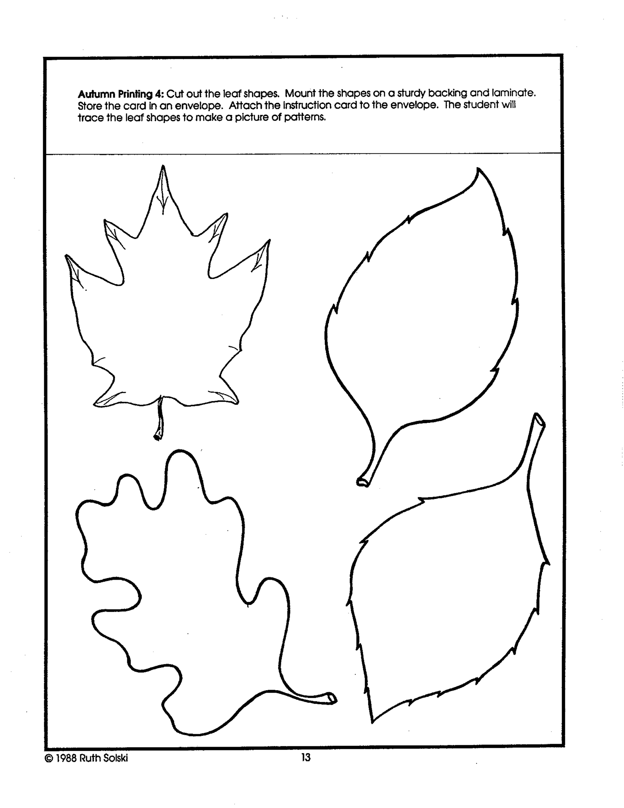 Autumn Wonders Grade 1