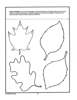 Autumn Wonders Grade 1